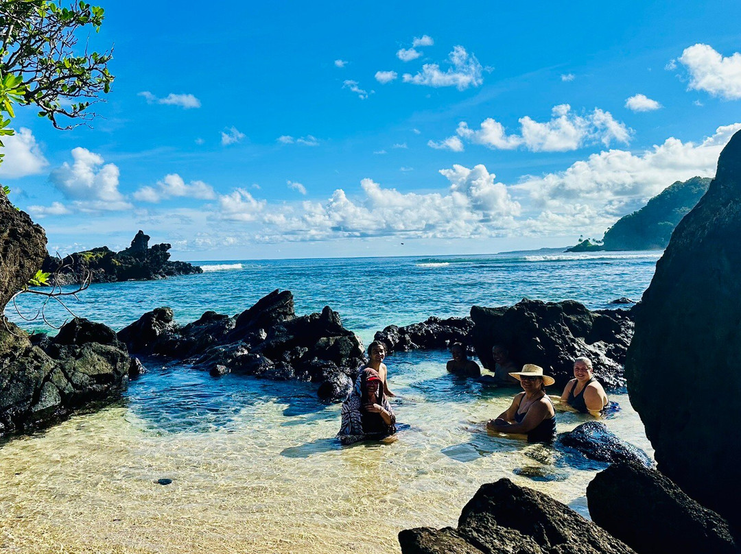 Two Dollar Beach景点图片