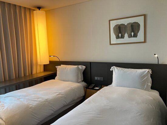 古罗诗拉酒店主图