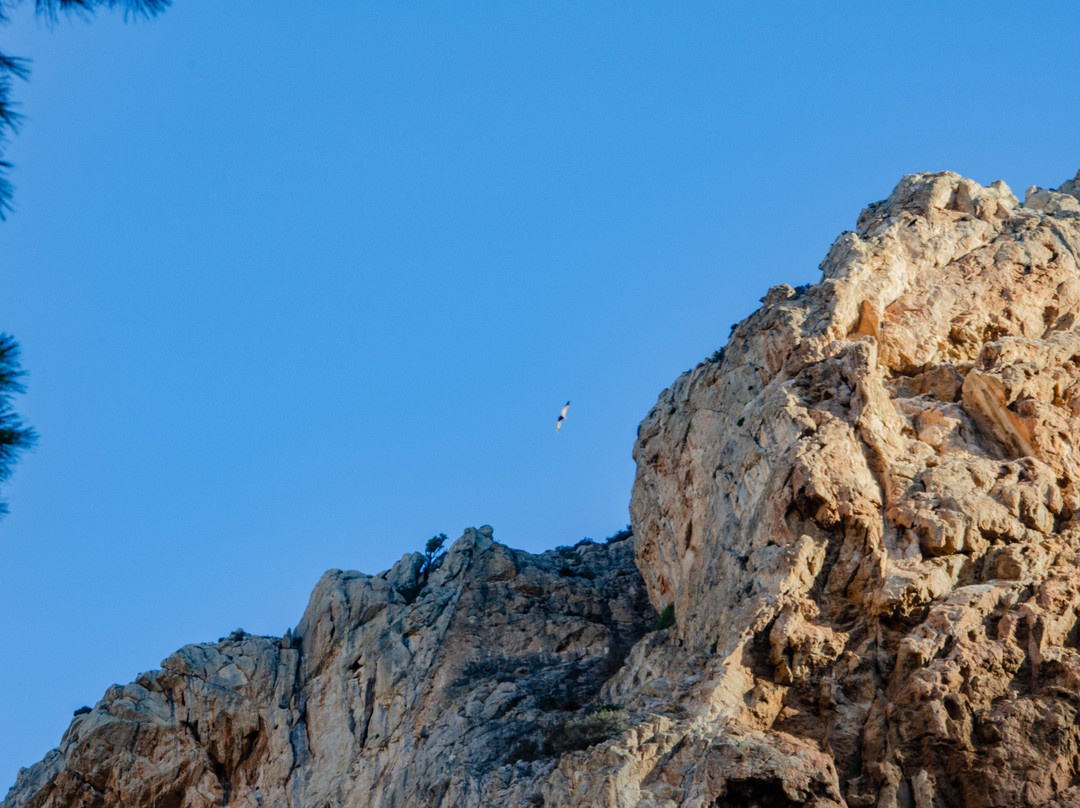 Cañón Tajo De Las Palomas