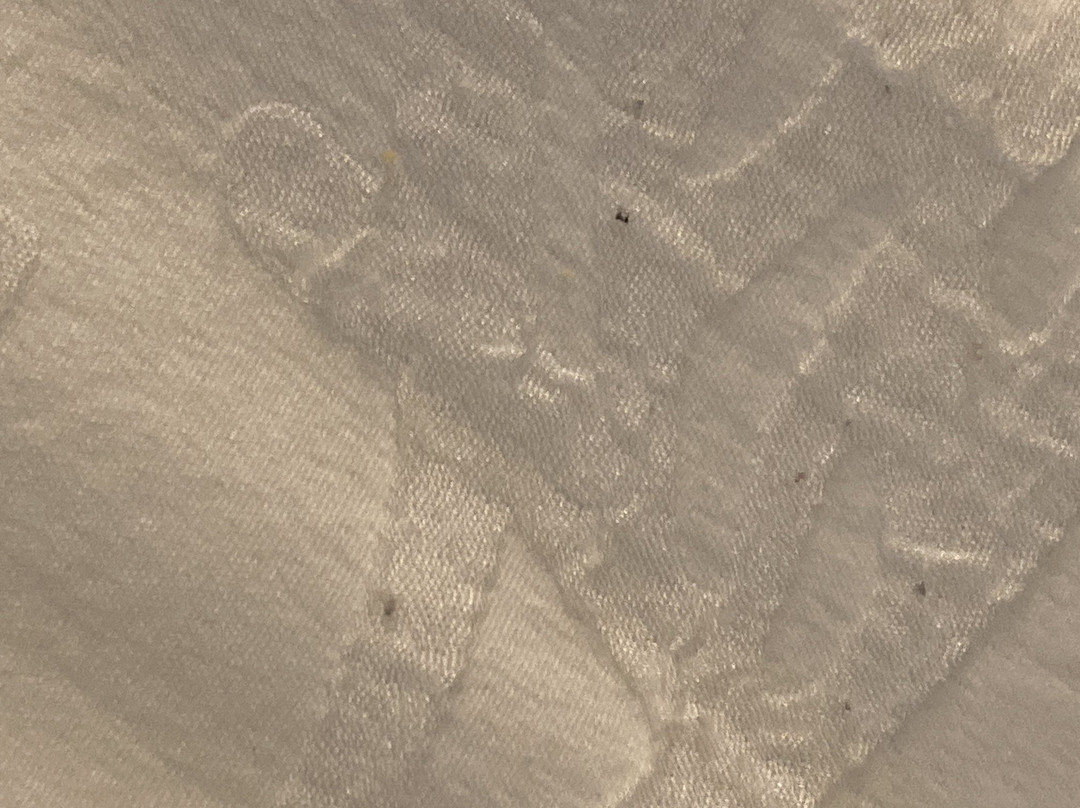 萨拉托加斯普林斯希尔顿花园酒店主图