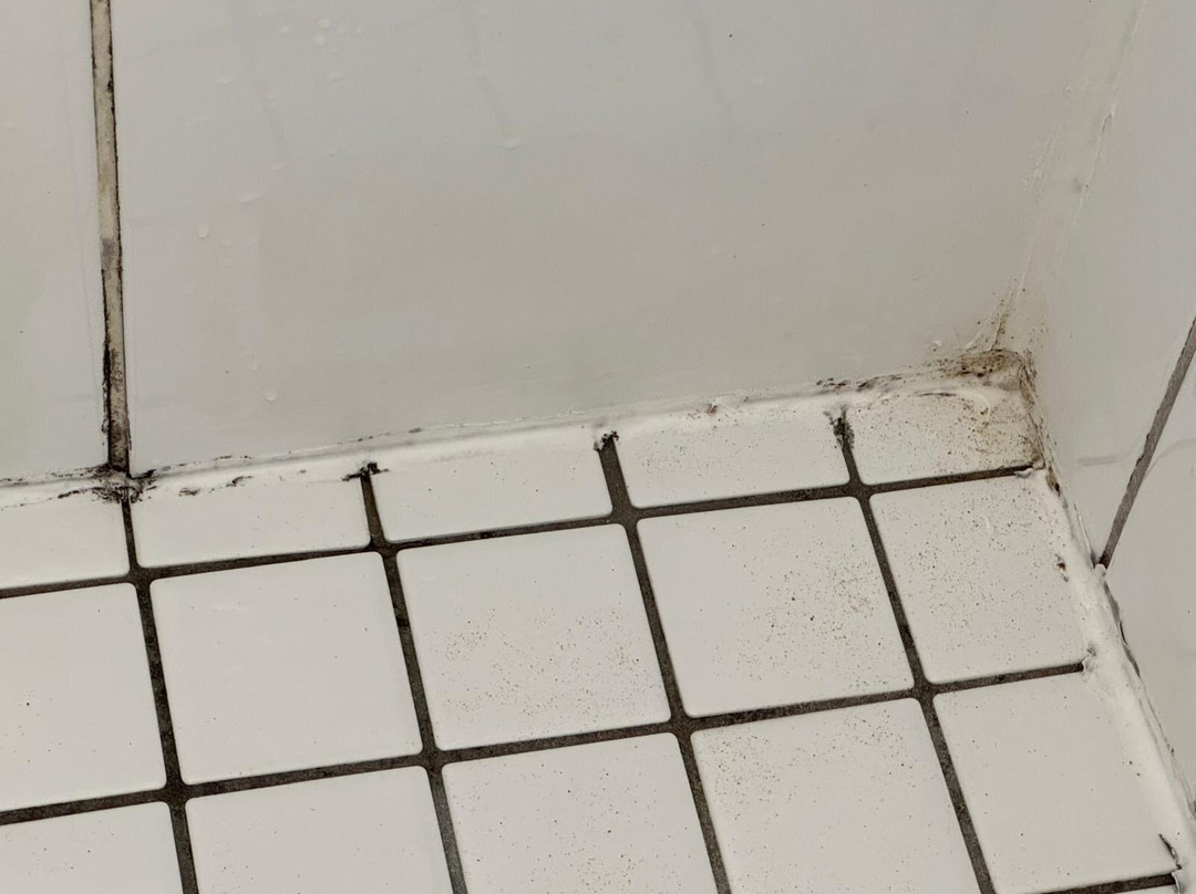 Sunseeker Motel主图