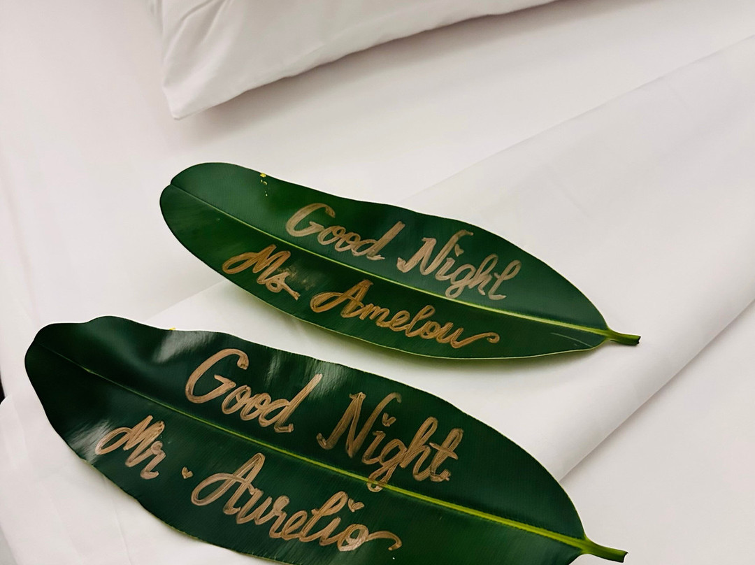 派克金沙酒店主图