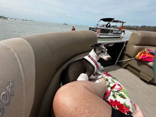 Fort Myers Beach Sea and Sun Rentals-迈尔斯堡海滩必去景点