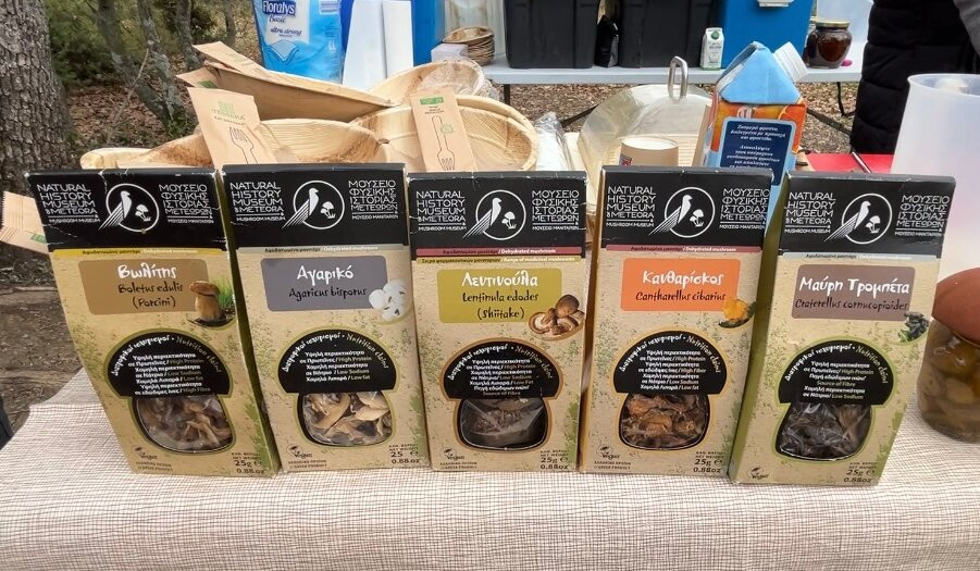 Truffle Hunting-卡兰巴卡必去景点