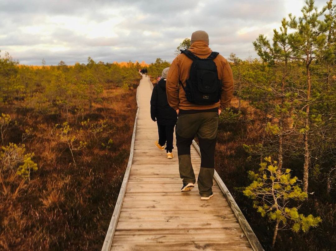 Solidride Oü-Joelaehtme必去景点