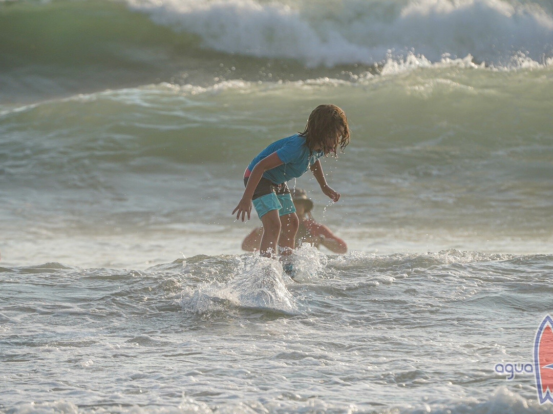 Agua Tibia Surf School景点图片
