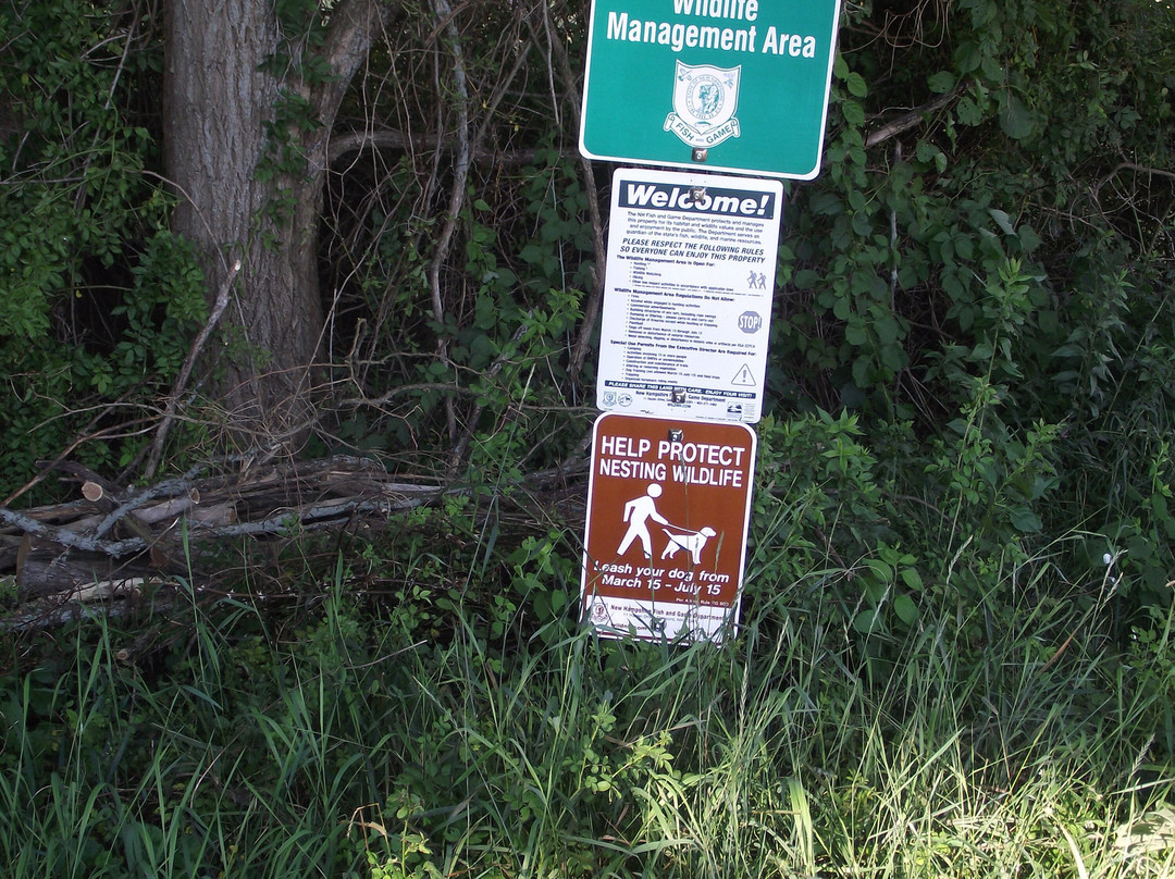 Bellamy River Wildlife Management Area-Dover必去景点