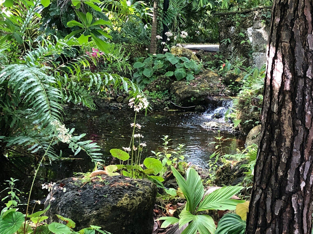Deerfield Beach Arboretum-迪尔菲尔德比奇必去景点