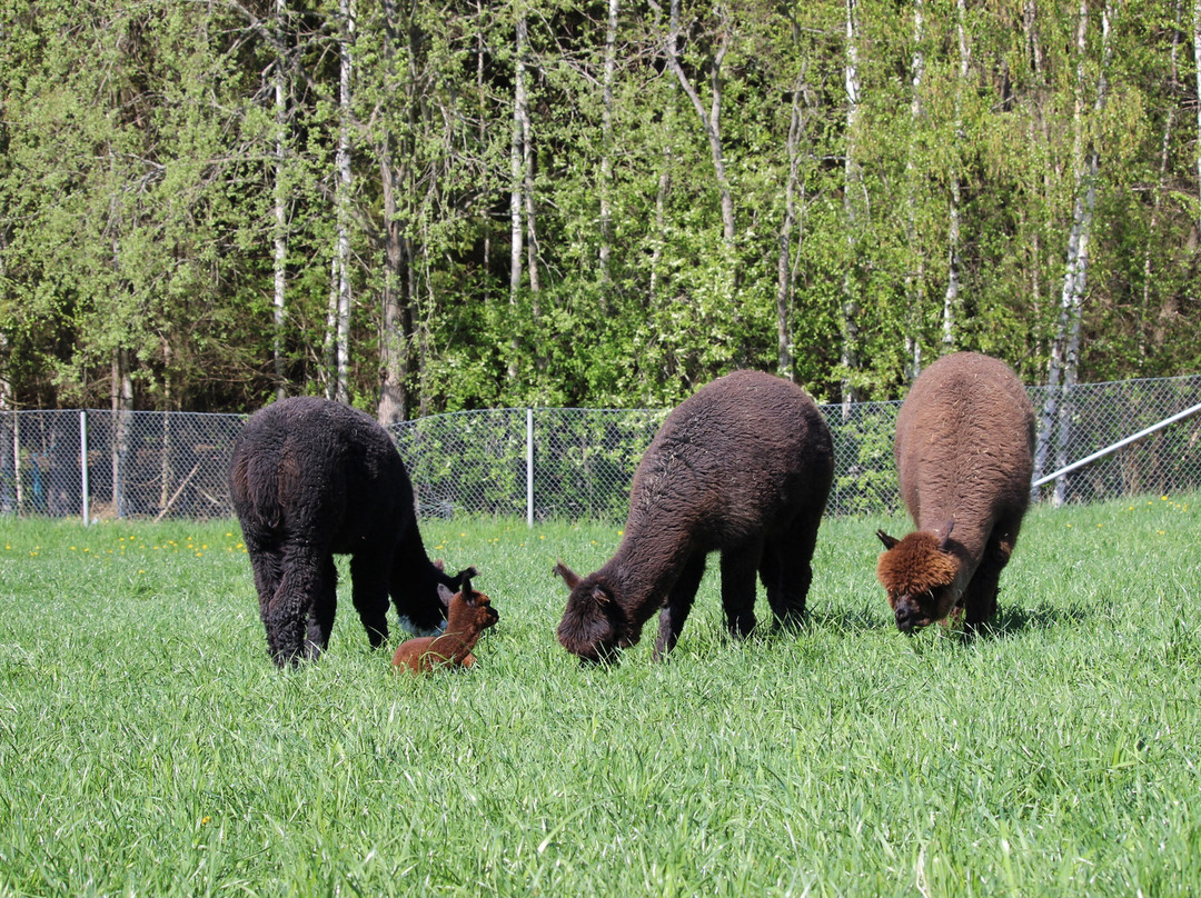 Guidance Dmc-赫尔辛基必去景点