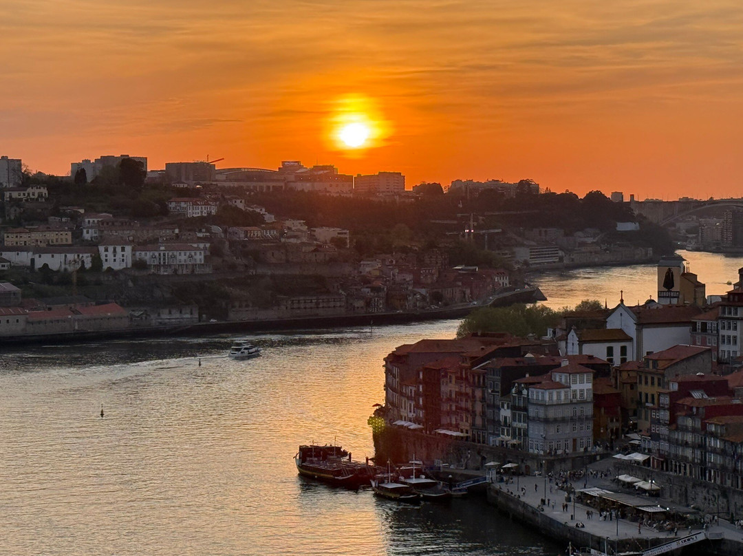 Plainsight-波尔图必去景点