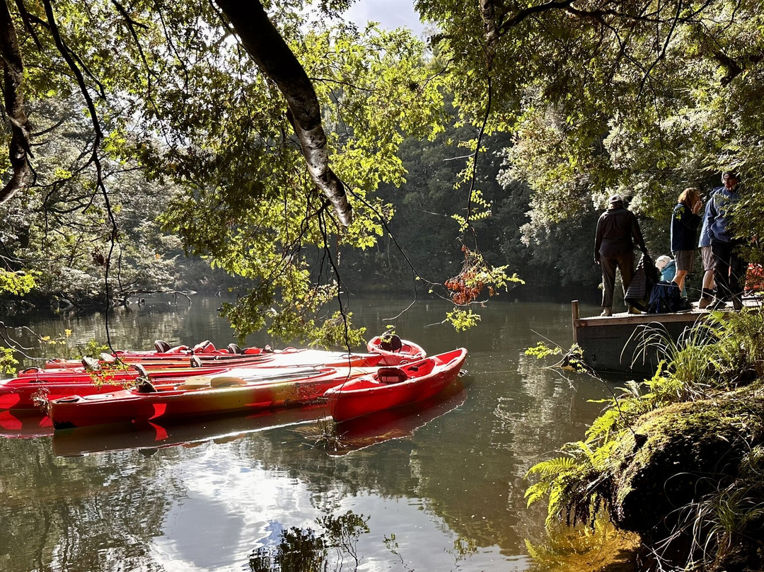 Tarkine Trails-Tullah必去景点