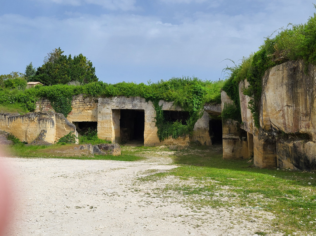 Château de Roques景点图片