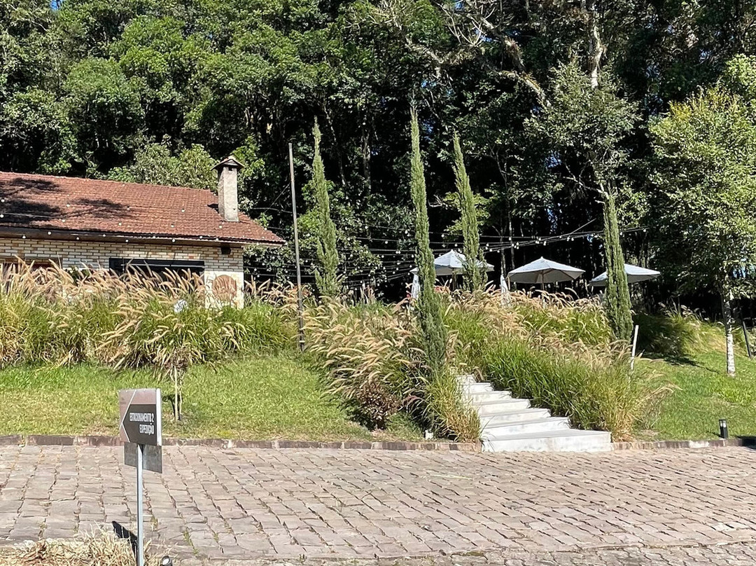 Vinicola Quinta Don Bonifacio-南卡希亚斯必去景点