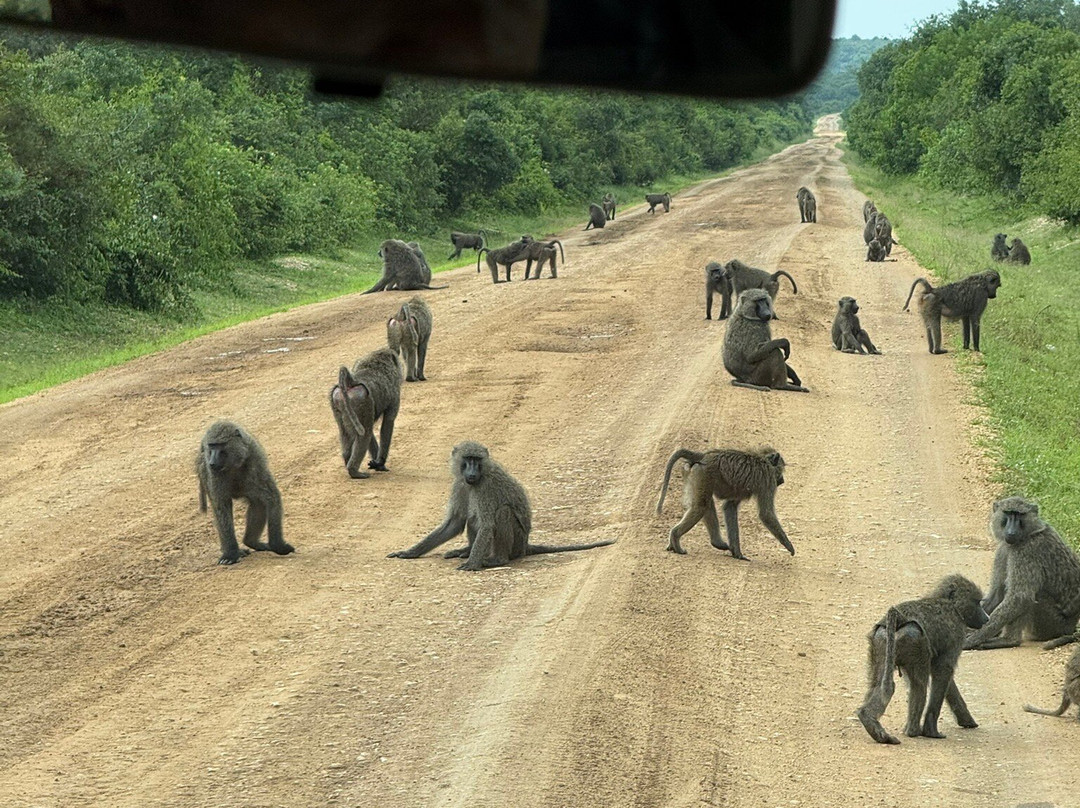 Great Adventures Uganda-坎帕拉必去景点