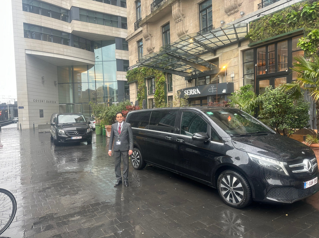 Ys Belgium Limousine & Private Guided Tours-布鲁塞尔必去景点