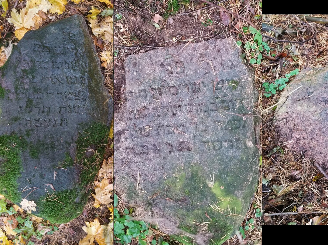 Trzcianne Jewish Cemetery-Trzcianne必去景点