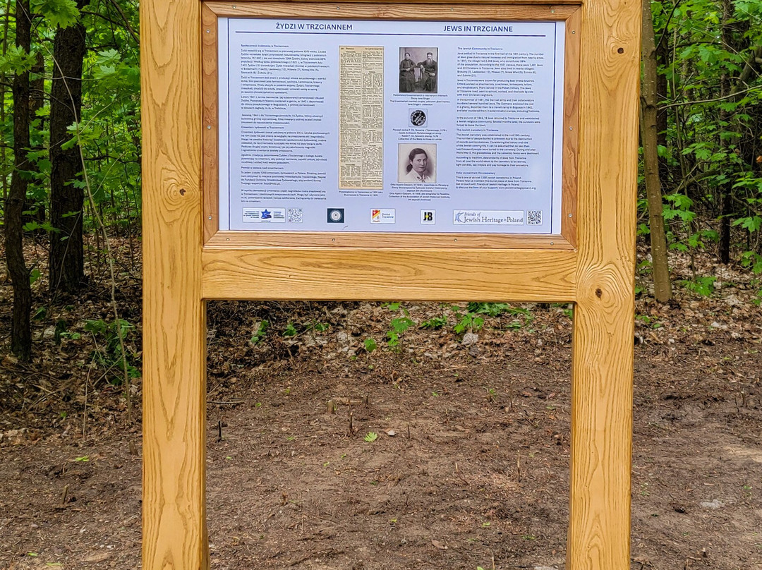 Trzcianne Jewish Cemetery-Trzcianne必去景点