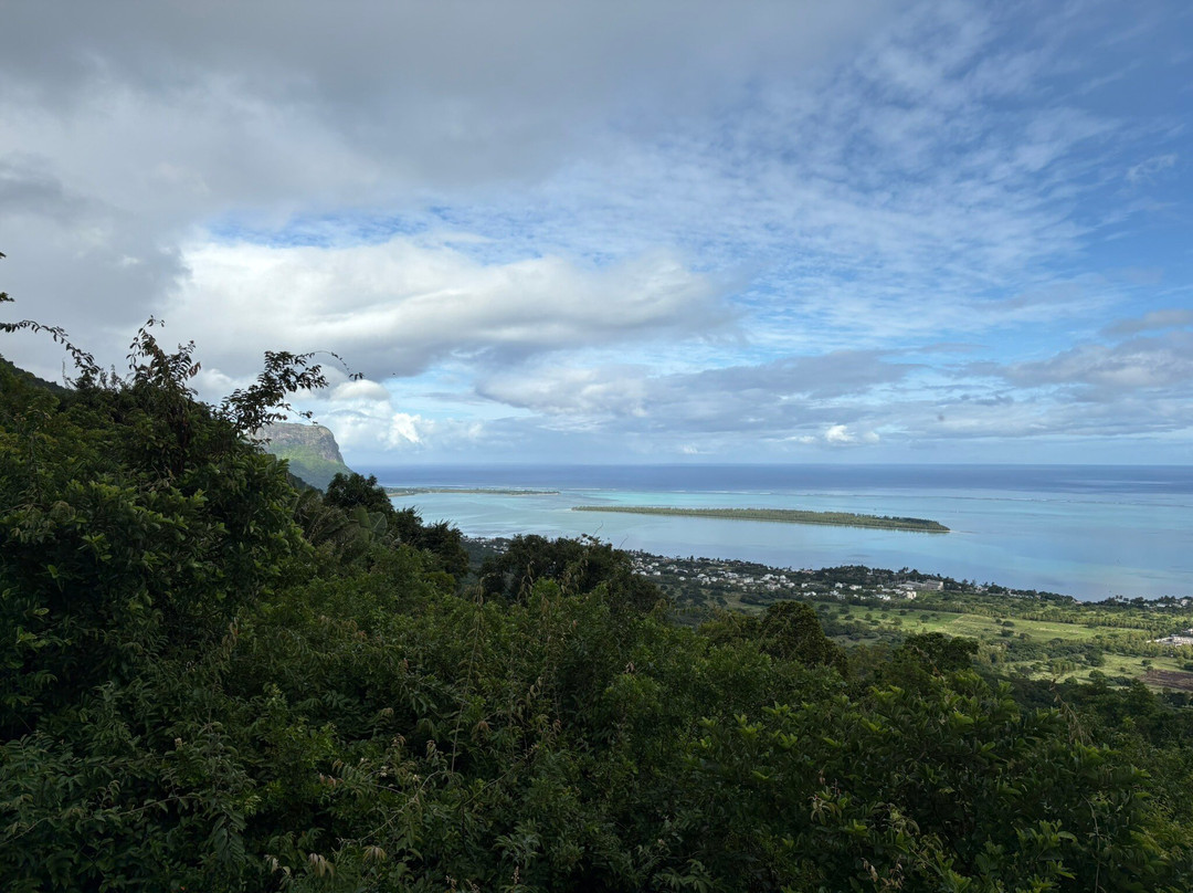 Freshverde Holidays-Surinam必去景点