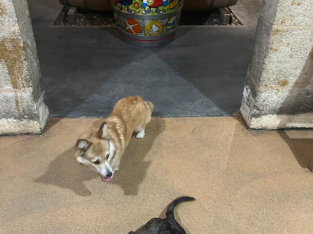 Chateau Monconseil-Gazin-Plassac必去景点