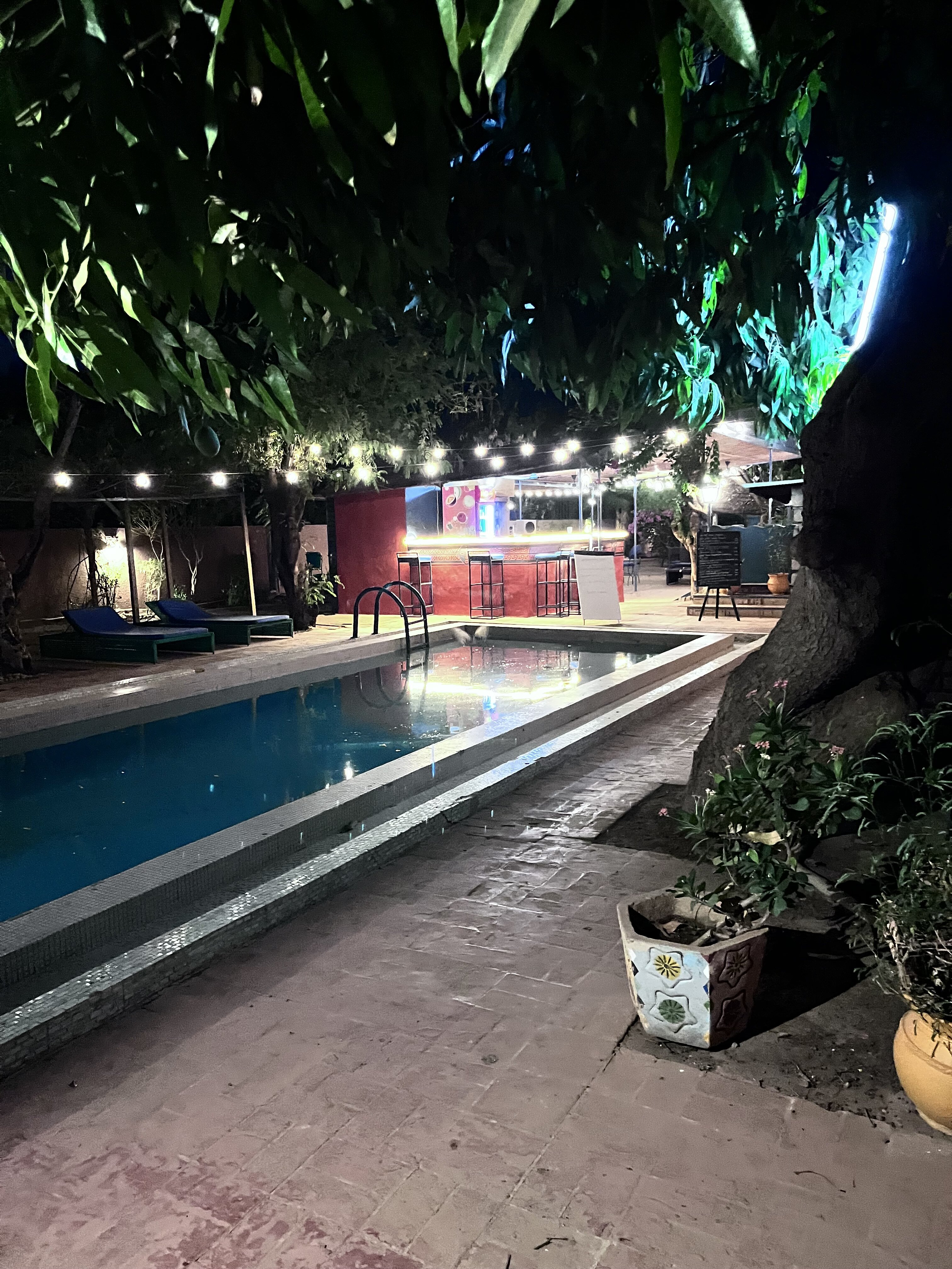 Hotel les Palmiers-官方