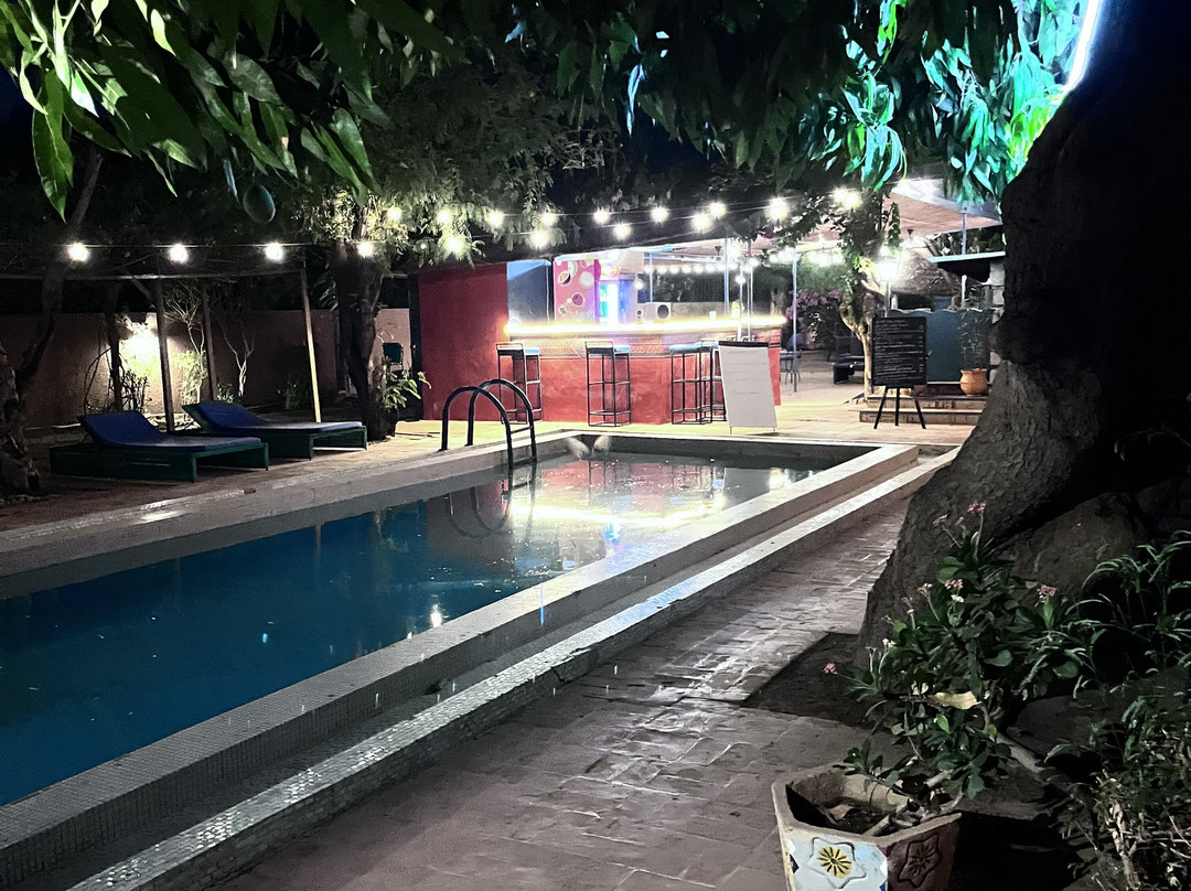 Hotel les Palmiers主图