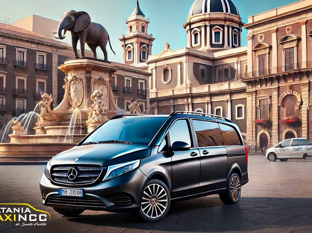 Catania Taxi NCC - Private Driver, Transfers & Sicily Tours  by Santo Ferlito-卡塔尼亚必去景点