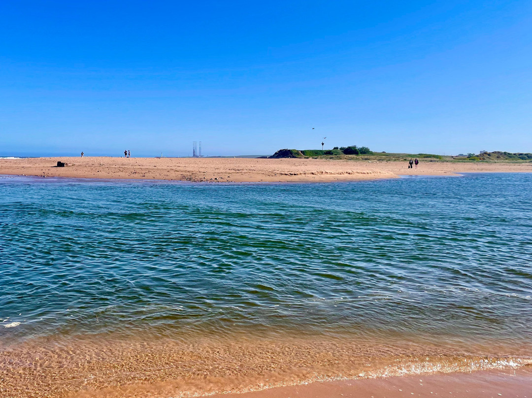 Donmouth Local Nature Reserve-阿伯丁必去景点