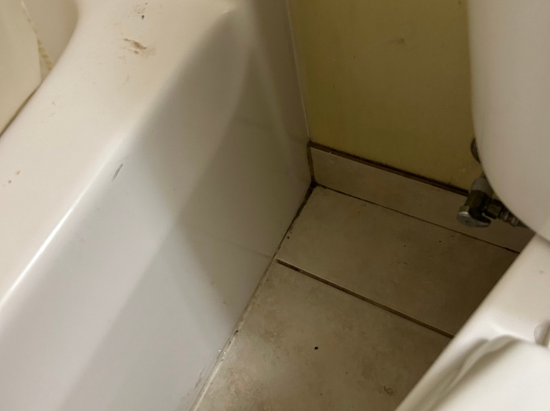 Suburban Extended Stay Hotel Cedar Falls主图