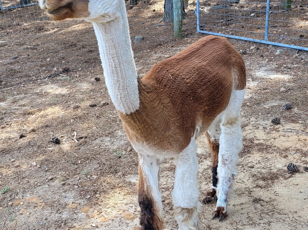 Priority Farm LLC-Sanford必去景点