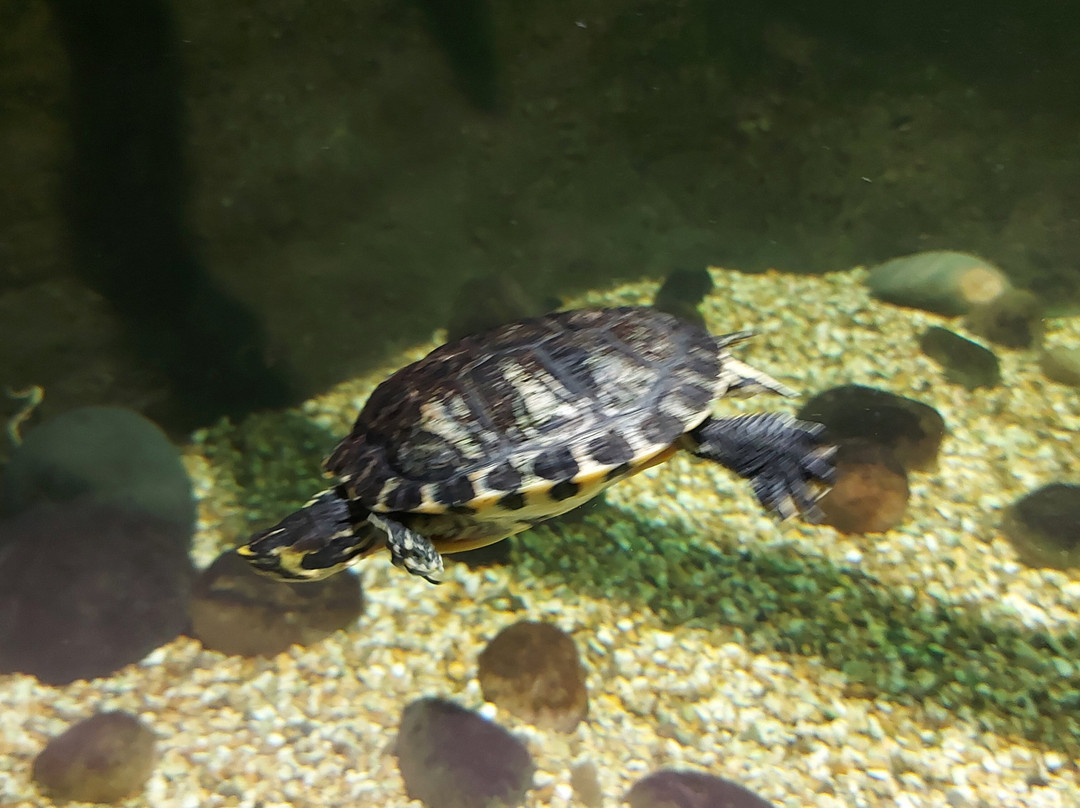 St Andrews Aquarium-圣安德鲁斯必去景点
