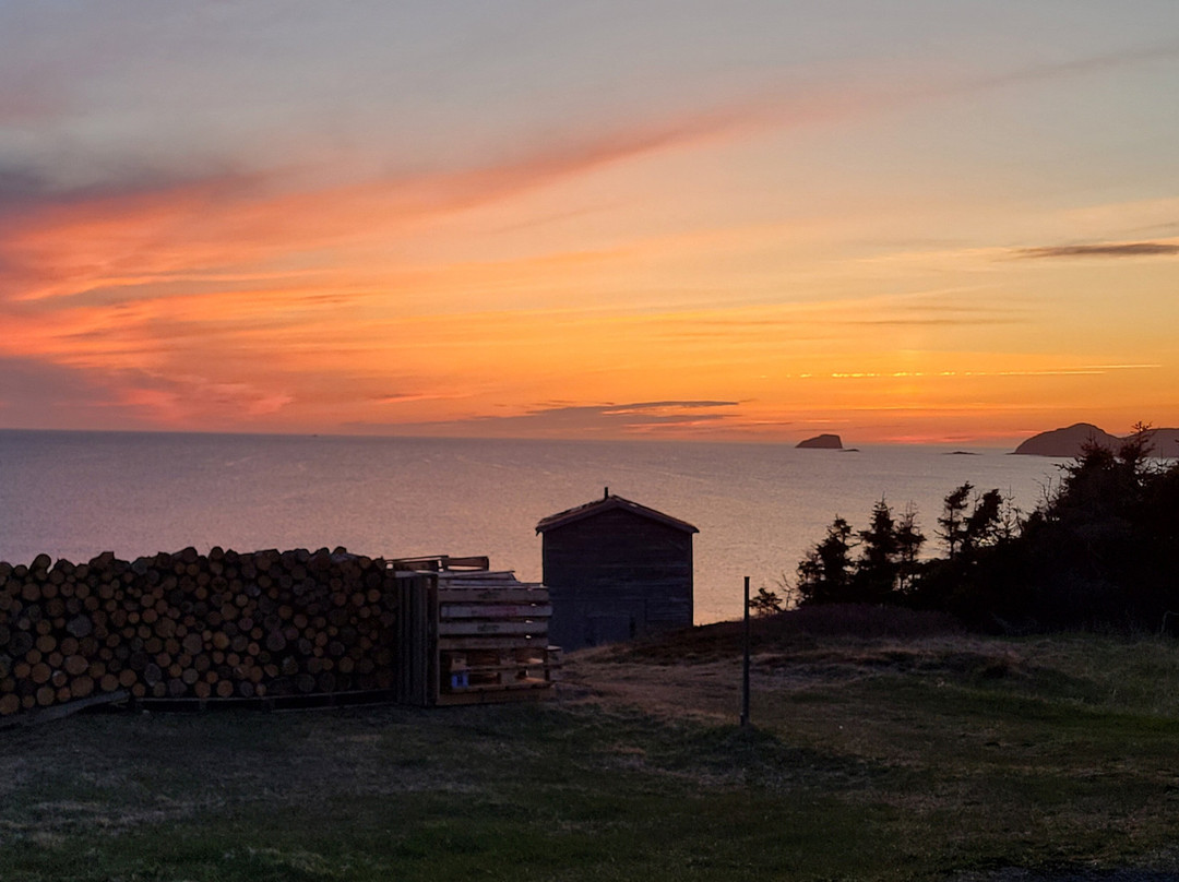 Grand Old Shed Party Show-Twillingate必去景点