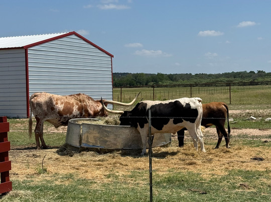 290 Wine Shuttle-弗雷德里克斯堡必去景点