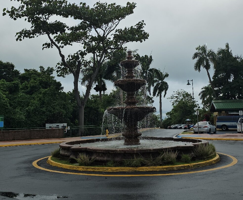 Parque Forestal La Marquesa景点图片