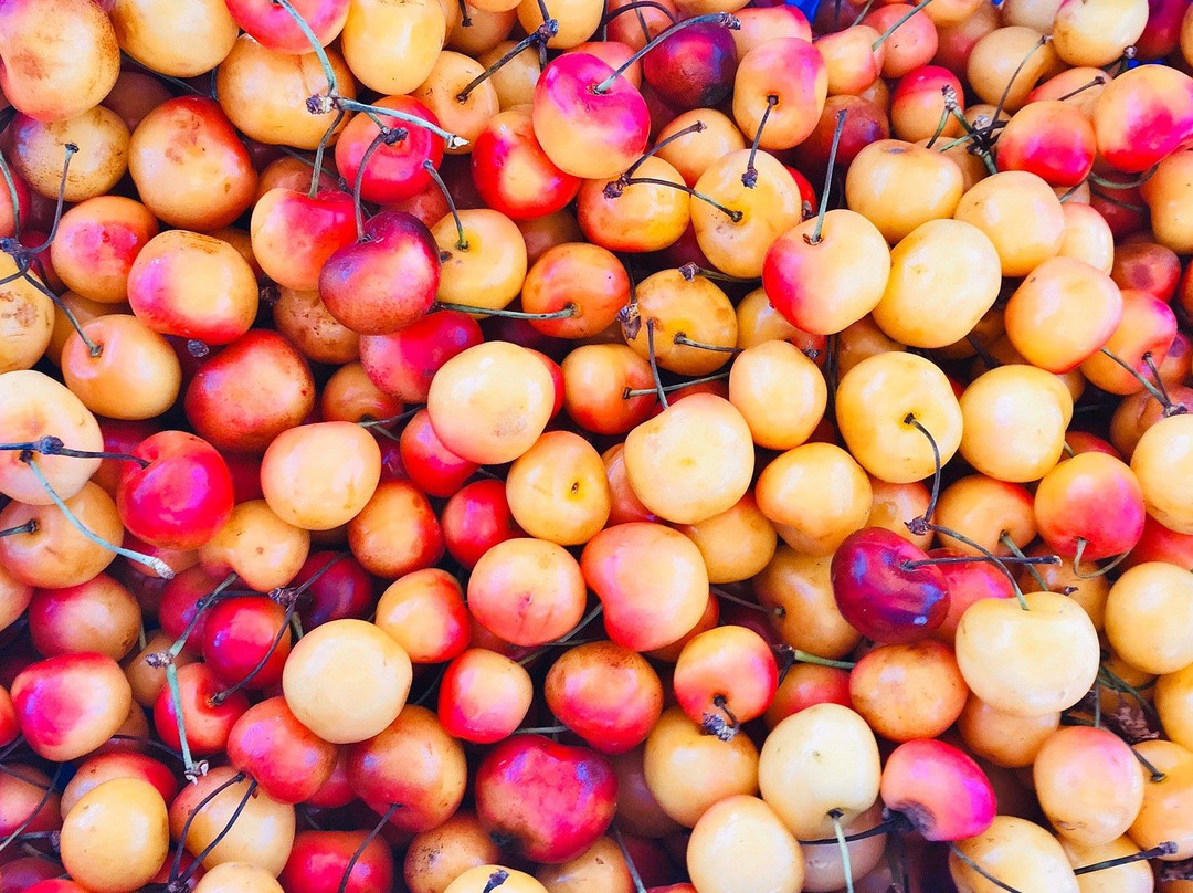 Mercado Municipal de Ancud-Ancud必去景点