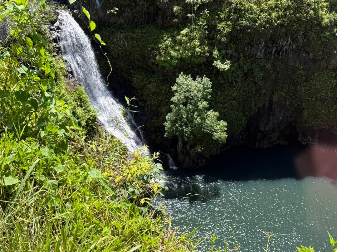 Hawaiian Style Tours-哈纳必去景点