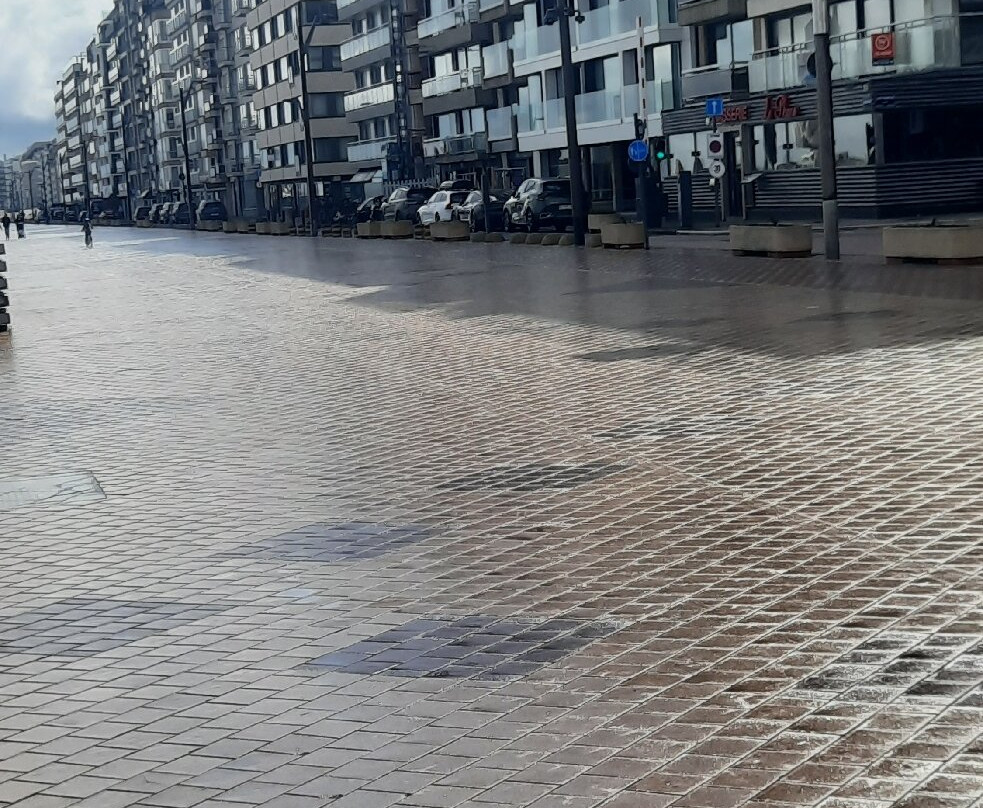 Strand Knokke景点图片