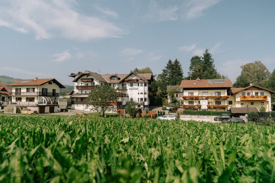 Abtsdorf am Attersee酒店住宿-Hotel Alpenblick- Seiringer KG