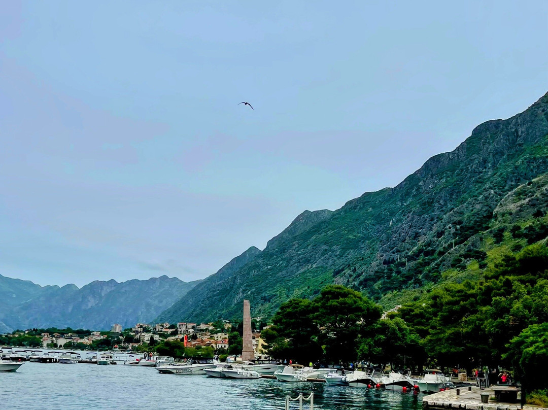 Kotor Tour Guide景点图片
