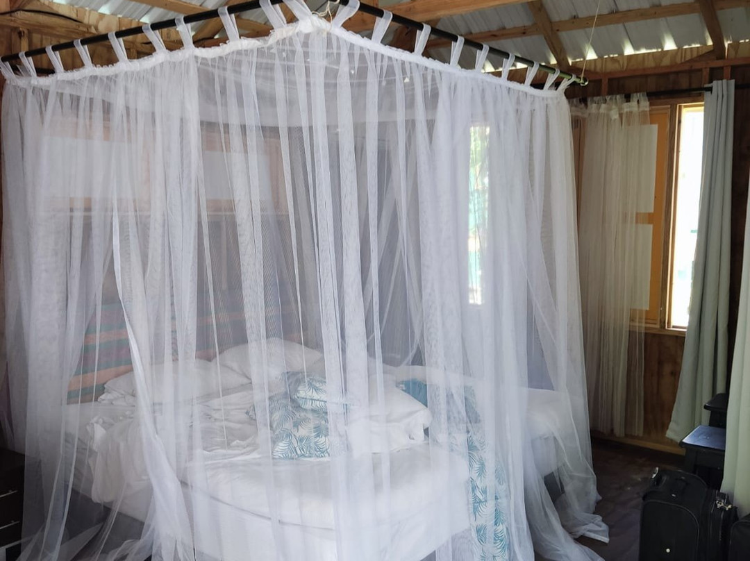 Hotel Yellow Home Providence Island主图