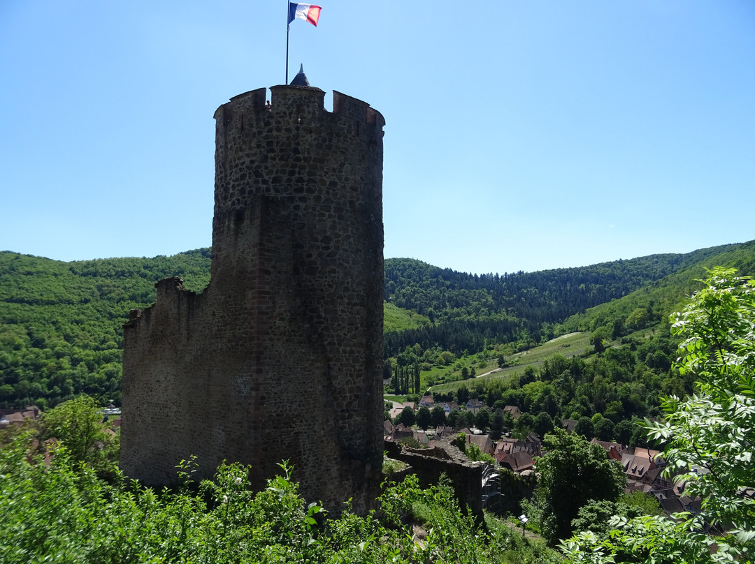 Château de Kaysersberg景点图片
