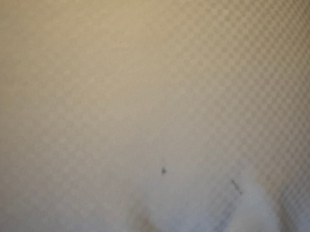 伍德布里奇万丽酒店主图