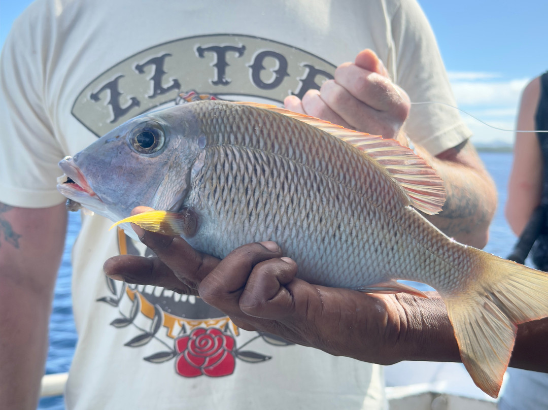 Coral Coast Fishing Charters-辛加东卡必去景点