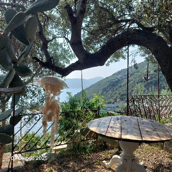Ittiturismo Corniglia Sp4488