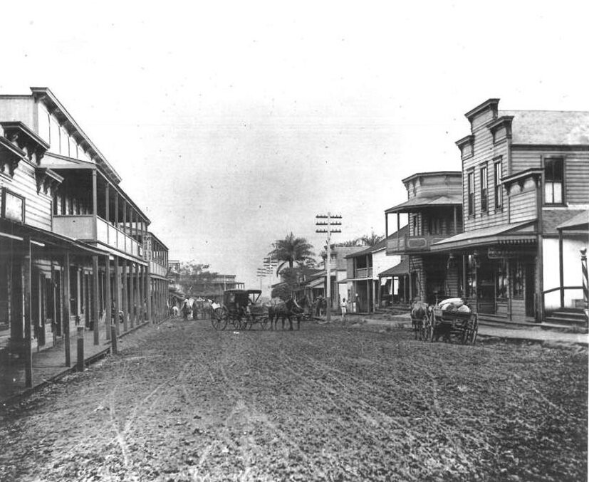 Tonys Tropical Tours On Maui-怀露库必去景点