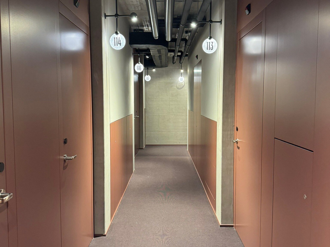 Tailormade Hotel LEO St. Gallen主图