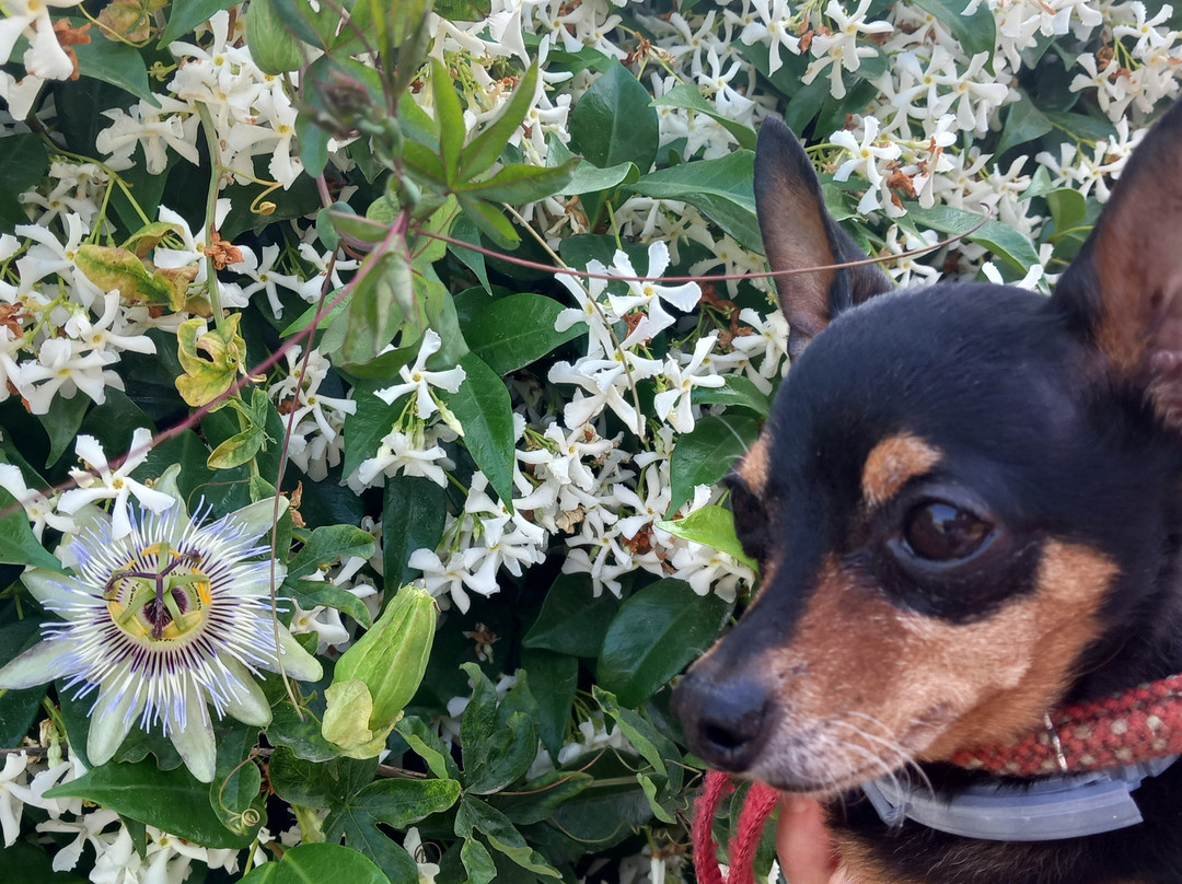 Museo archeologico nazionale di Luni e zona archeologica-Ortonovo必去景点