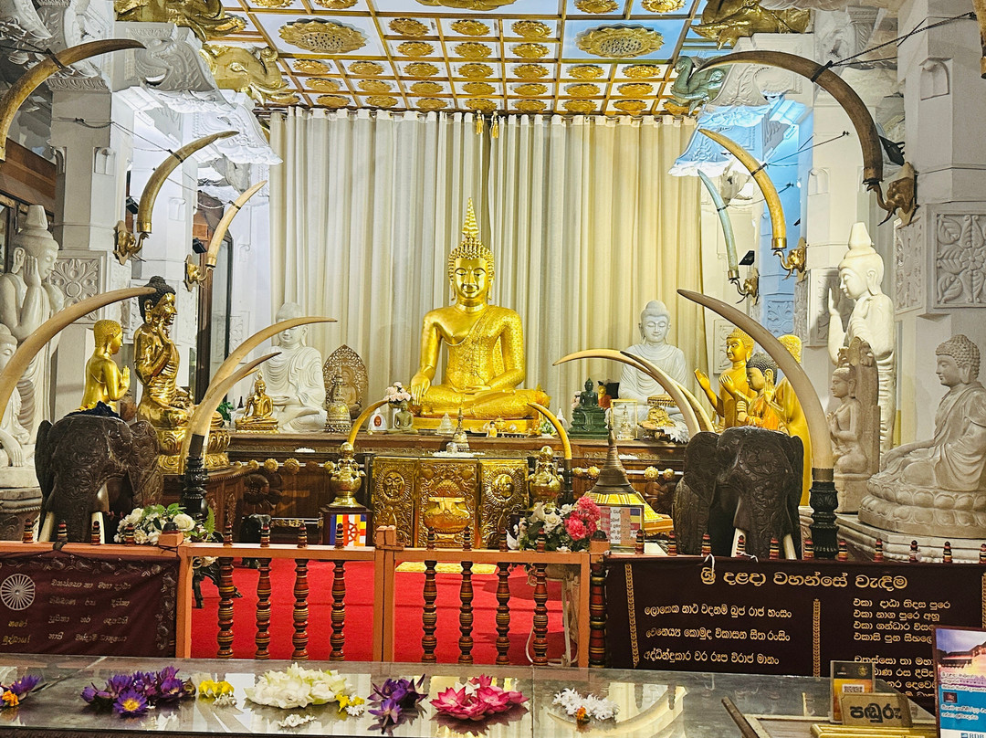 Visit In Lanka景点图片
