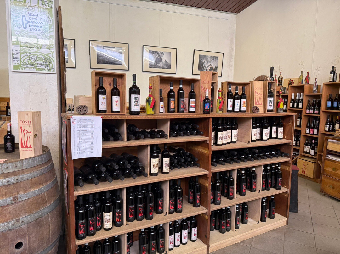Cantine del Castello Conti