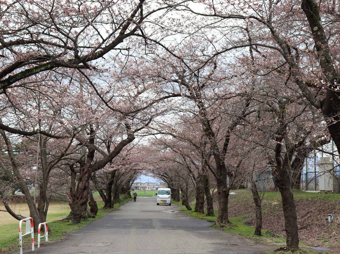 Muramatsu Park-五泉市必去景点