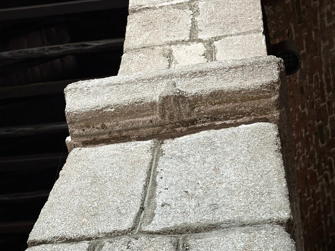 Museum Civitatense Basilica di San Simplicio-奥尔比亚必去景点